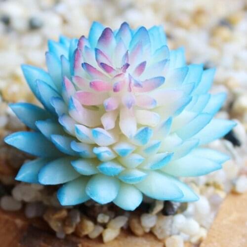 Artificial Lifelike Succulents Flower Home Decoration PVC Plant Garden Miniature Aloe Cactus DIY Home Floral Decorative Flower