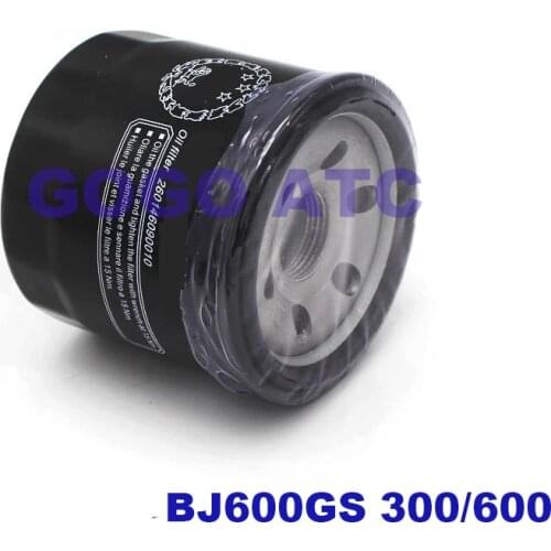 Motorcycle Huanglong 600/Lanbaolong 300 BJ600GS oil filter Filter oil filter