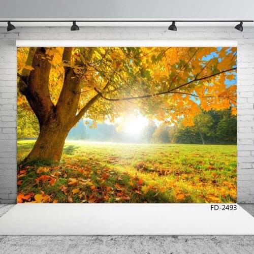 Autumn forest Park deciduous green space theme photo background studio props