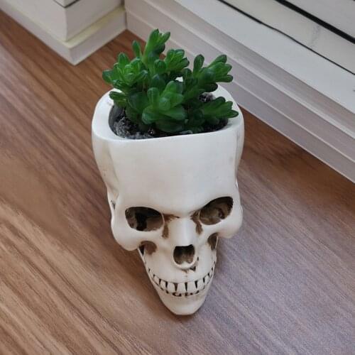 Resin Skull Succulent Plant Pot Pencil Makeup Brush Holder Gothic Art Gift