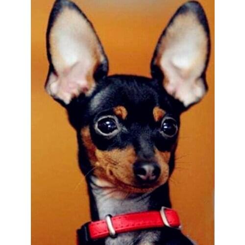 Love.Thanks Animal Diamond Art Pet Dog Diamond Art Mosaic Embroidery Kit Diamond Paiting Full Drill