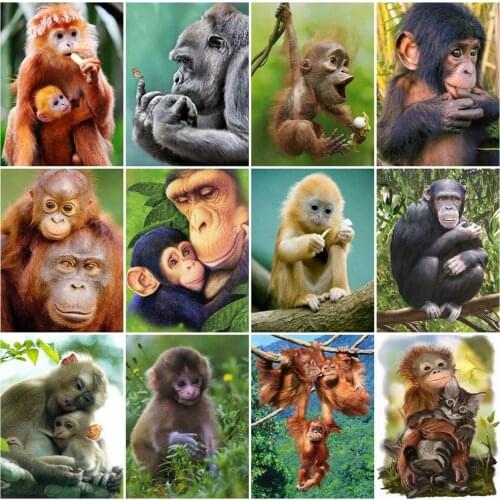 EverShine DIY Diamond Painting Full Square Monkey Cross Stitch Diamond Mosaic Animal Bead Embroidery Handicraft Gift Wall Decor