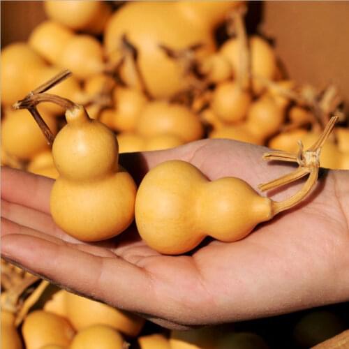 10pcs Mini Natural Dried Gourds Craft Small Calabash Gourd Plant Little Gourd/Dried Lagenaria siceraria Gourds