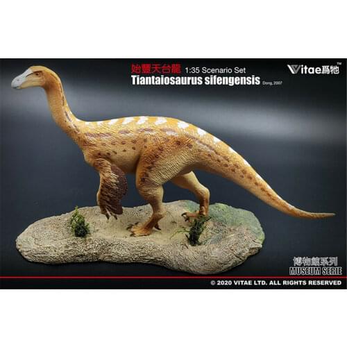 IN STOCK! Vitae 1:35 Scale Tiantaiosaurus sifengensis Dong B Figure Dinosaur Toys Animal Collector Animal Adults Gift