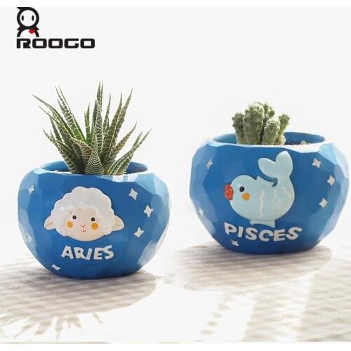 Roogo Seeds