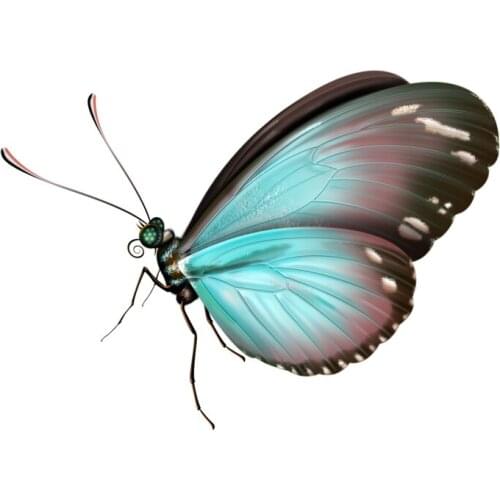 Hot Sell Personality Colorful Butterfly Car Stickers Accessories Motorcycle Sunscreen Waterproof PVC 14cm*10cm