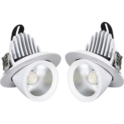 LED Downlight 7W 12W 20W 30W 40W Adjustable 360 COB Ceiling Elephant Trunk Downlight AC85-265V Home Lighting