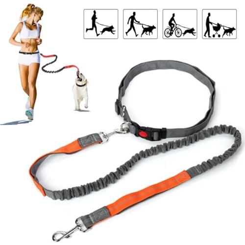 Retractable Dog Leash with Adjustable Waist Rope Running Jogging Cycling Walking Dog Explosion Proof Pet Supplies Accessories
