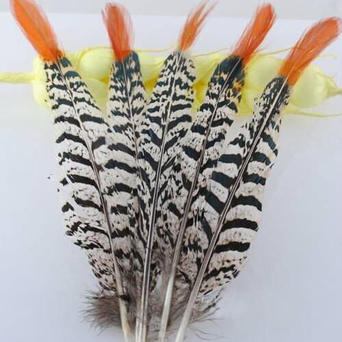 50pcs/lot 20-25cm / 8-10'' real natural lady amhersts pheasant feathers plume for clothing decoration jewelry making bulk sale