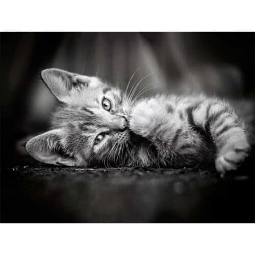 Diamond Painting Cat Full Square Round Cross Stitch Mosaic Diamond Embroidery Black White Animal Rhinestone Art Home Decoration