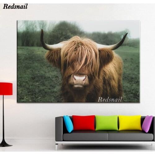 DIY Diamond painting Animal Highland Cow 5D Square/Round Drill mosaic Diamonds Embroidery Wall Art Shaggy Yak Cow EE917
