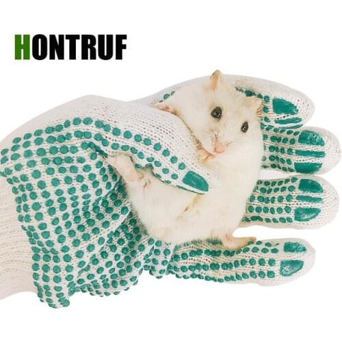 Small Pet Heterothermic Mesocricetus auratus Fancy Mouse Squirrel Cavia Porcellus Hamster Anti-bite Gloves