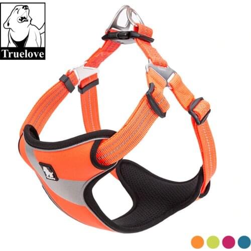 Аксессуары для собак LOUXWOL China At AliExpress