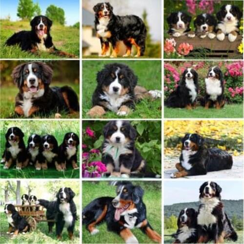 New arrival Diamond painting embroidery Puppy Bernese Mountain Dog crystal beads 5d cross stitch kits handwork animal mosaic art