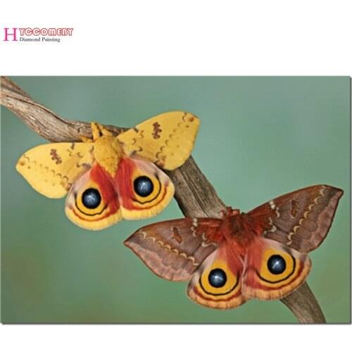 2017 New 100% Full Area Highlight Diamond Diy Diamond Painting Kit Diamond Cross Stitch Embroidery yellow Butterfly