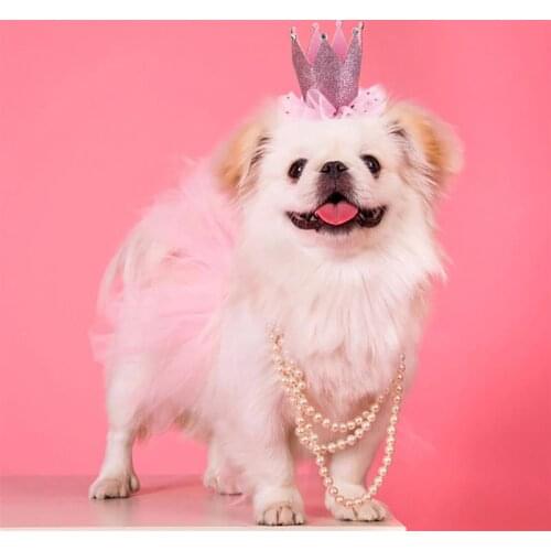 2PCS/Set Pet Tutu Skirt Cute Party Bubble Skirt Pet Costume Skirt with Pet Crown Headband for Birthday Party Dress