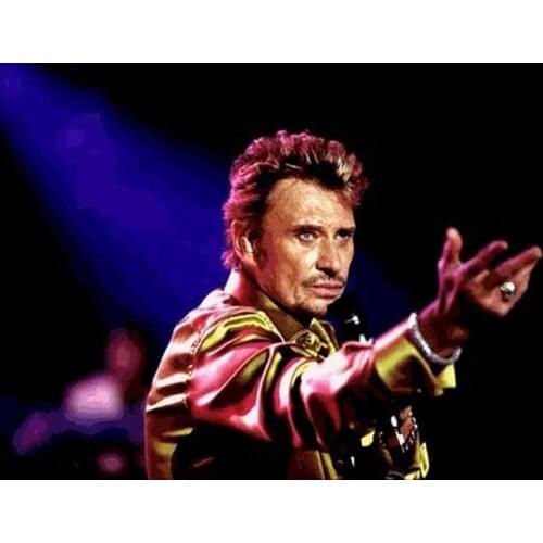 Diamond painting Superstar singer cross stitch round Rhinestones embroidery plastic craftsFull diamond painting johnny hallyday