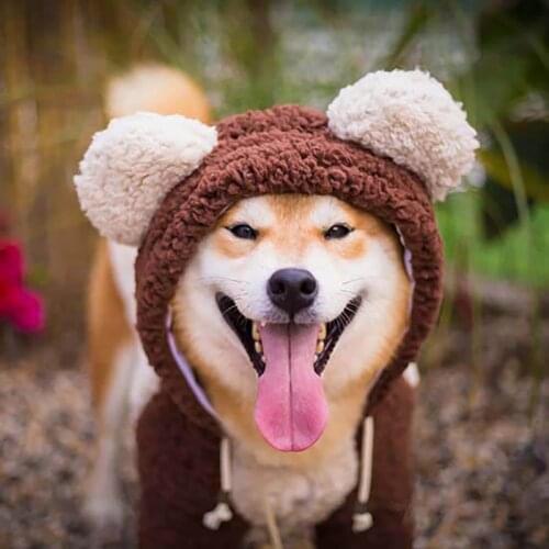 Large Dog Clothes Pug Warm Pets Dogs Clothing for Medium Large Dogs Costume Bear Dog Coat Jacket Winter Pet Clothes Ropa Perro