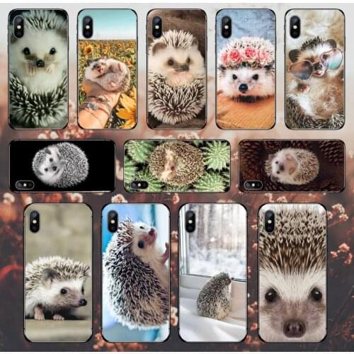 Cute Hedgehog Phone Case for iPhone 11 12 pro MINI XS MAX 8 7 6 6S Plus X 5S SE 2020 XR