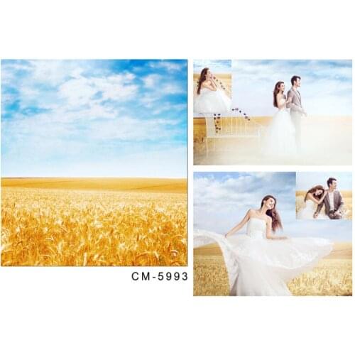 Thin Vinyl Cloth Photography Camera Background Golden Wheat Field Cloudy Blue Sky Wedding Photo Shoots Backdrop for Photo Studio