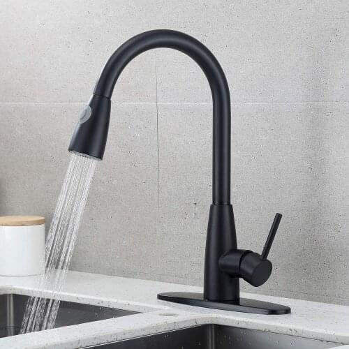 The Kitchen Sink Can Be Rotated With 2 Functions, Hot And Cold Quick Connection, Drawing And Spraying Black Faucet