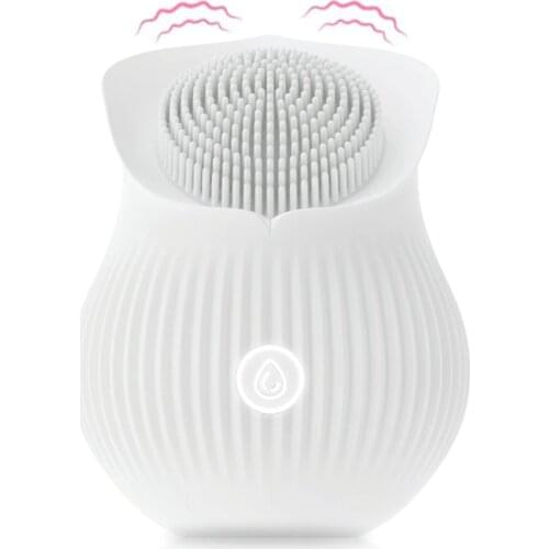 G Spot Clitoris Vibrator Stimulation Flower Shape Portable Masturbator Clitoral Brush Breast Nipple Massage Sex Toys For Women