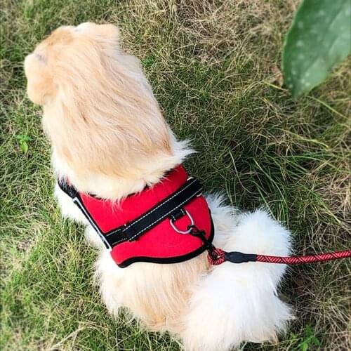 Large Dog Pet Supplies K9 Luminous Tie Puppy Lead Pet Vest Dog Belt
