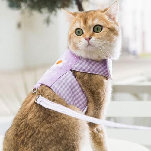 Ошейники для кошек GOEMIMI China At AliExpress