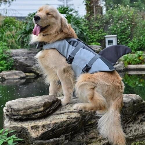 MiLESEEY Clothes And Footwear For Dogs