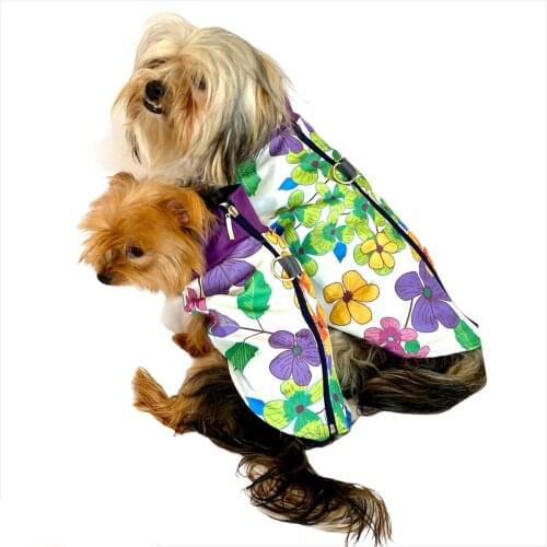 Water Repellent Flower Power Raincoat for Dogs. For Small Breeds, Dog Clothes, Pet Clothes