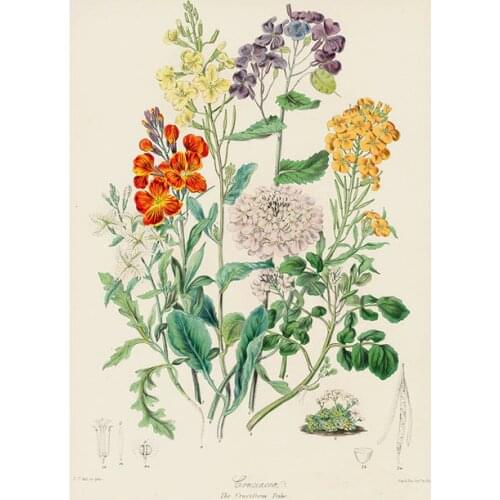 Botanical Plants Wall Art Painting Vintage Style Flowers Vegetables Fruits Graph Vintage Poster Kraft paper