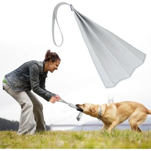 Interactive Dog Chew Toy Dogs Bite Tug Rope Chewing Toys Teeth Cleaning Tool Dog Training Product