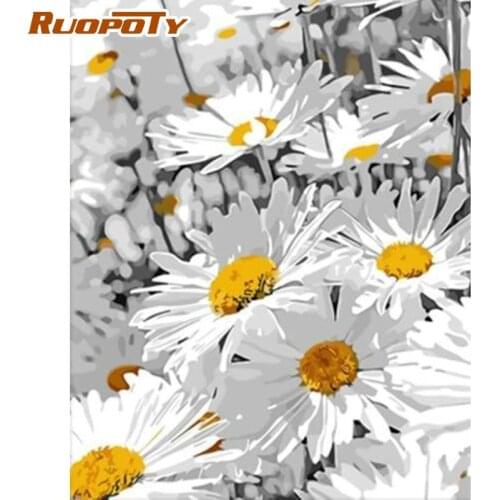 RUOPOTY Painting Photo By Numbers Handmade Unique Gift For Adults White Flower 40x50cm Frame Oil Picture Home Decor Artcraft