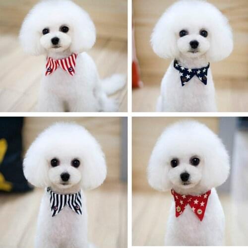 New spring and summer models, fake collar decoration, led dog accessories, pet accessories Teddy bear accessories
