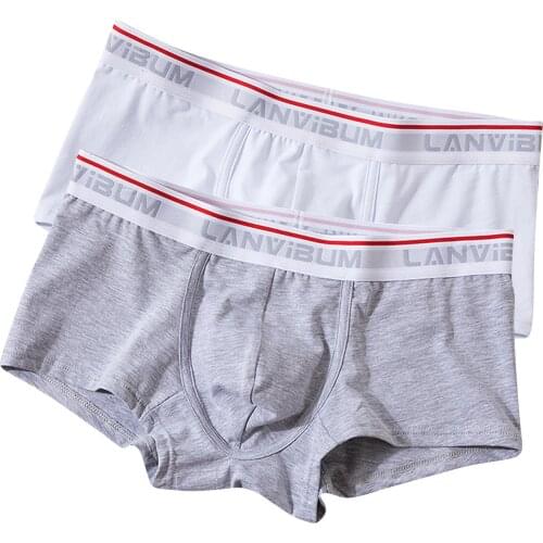 2PC Cotton Mens Underwear Boxers Male Panties Breathable Sexy Underwear Fruit Color U-Convex Boxer Boxer Briefs Underpants