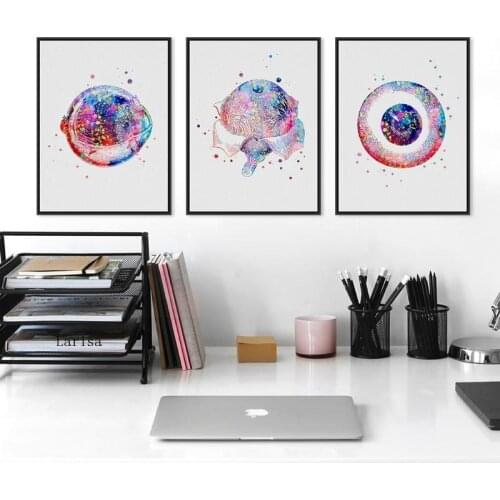 Eye Anatomy Medical Posters Optometrist Gift Ophthalmology Medicine Wall Art Canvas Painting Pictures Clinic Doctor Office Decor