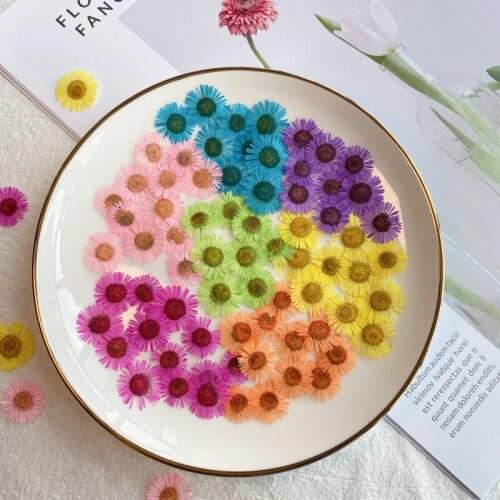 20pcs/Lot Dried Flower Needle Chrysanthemum For Nail Art Epoxy Resin Pendant Necklace Jewelry Making Craft DIY Accessories