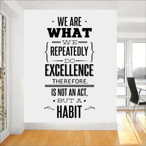 We Are What We Repeatedly Do Wall Decal Quotes Office Education School Quote Vinyl Sticker Home Wall Decor Art Mural Decals Z770