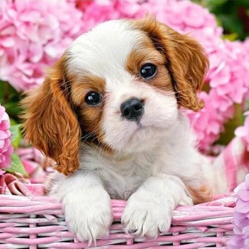 SenyuArt Picture Dog Animal 5D DIY Diamond Painting Full Drill Square Round Handmade Art Embroidery Cross Stitch Home Decoration