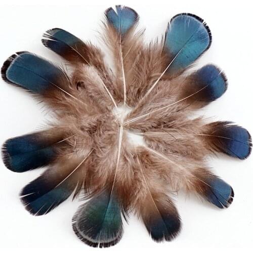 New 20pcs/lot High Quality Natural Pheasant Tail Feathers 5-10cm Wedding Craft DIY Feathers for Crafts