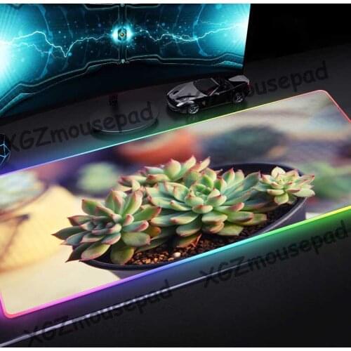 XGZ Cute Succulent Plant Pattern Custom Large RGB Mouse Pad Black Lock Edge Computer Keyboard Desk Mat Speed Rubber Non-slip Xxl