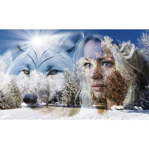 5D Diy Diamond Painting snow girl,wolf Animals Deer Picture Cross Stitch Kits rhinestones Diamond mosaic Embroidery Home Decor