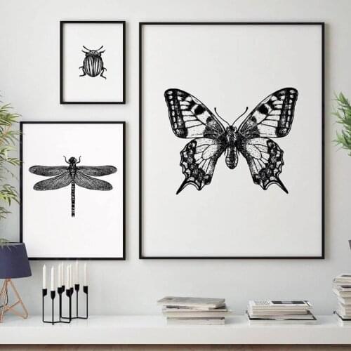 Insect Illustration Black and White Butterfly Bee Insect Canvas Painting Posters and Prints Wall Art Pictures Home Decor Cuadros