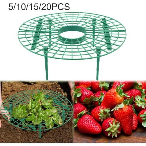 Strawberry Stand Frame Holder 5/10/20 PCS Balcony Planting Rack Fruits Support Plant Flowers Climbing Vine Pillar Gardening Tool