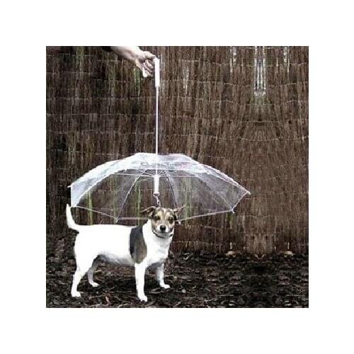 Dog Protective Rain Umbrella Fashion PE Pet Rain Coat Walk The Dog Sun Umbrella With Chain