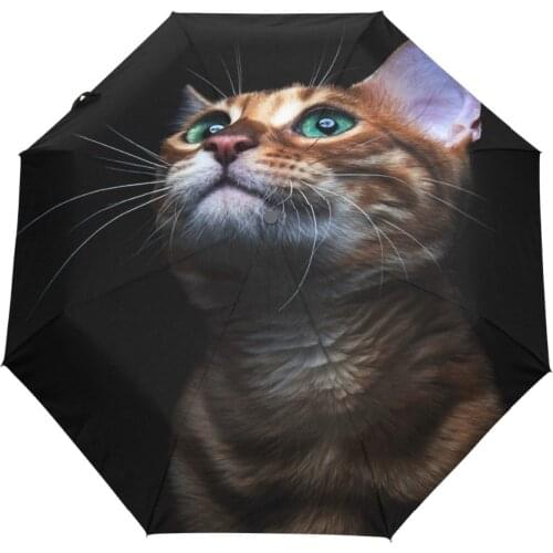 Black Coating Cute Cat Automatic Umbrella Full Automatic Umbrella Rian Women Men Sun Rain Compact Folding Rainproof Style