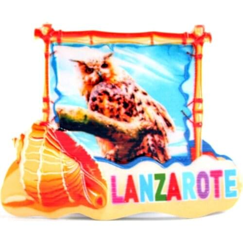 Fridge magnet lanzarote spain owl design