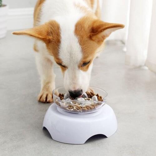 Pet Cat Bowl With Stand Non Slip Lovely Cat Shape Feeding Bowls Waterer Protect Cervical Vertebra Tilt For Pet Dog Food Bowl