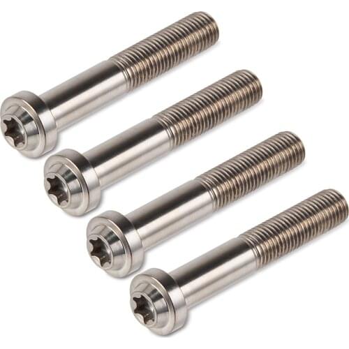 M10X1.25 Titanium Alloy Flange Head Screws for KTM 690 Duke SMC Supermoto R 990 SMR SMT 950 Supermoto RC8 Caliper Bolt Nuts