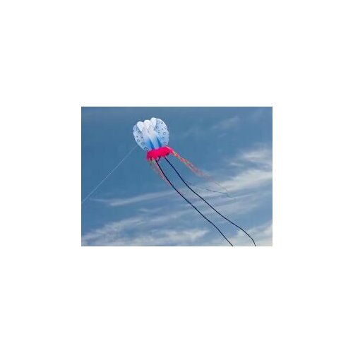 Big ripstop soft toys cerf volant cometa vlieger kites for adults flying cometas para adultos windsock tadpole koinobori pulpo